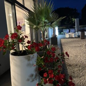 374729462_876471037320511_5641068881642610256_n