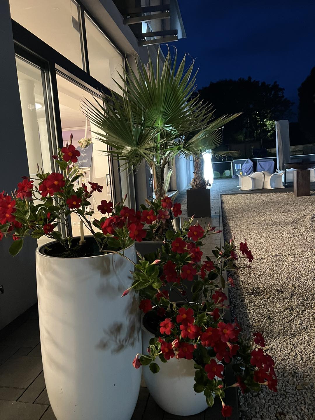 374729462_876471037320511_5641068881642610256_n